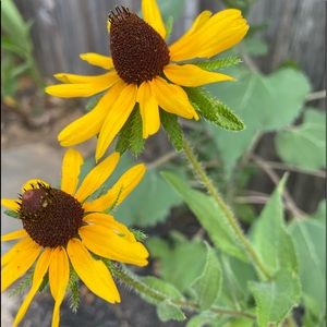 Meet your Posher, Ashleigh